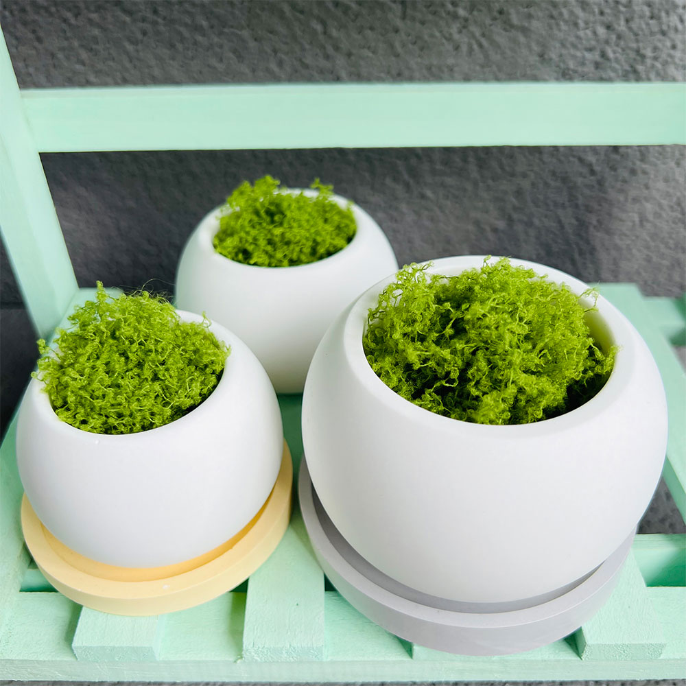 Sphärische Blumentopf Silikonf – Potsticker Mold Bewertung und Preis