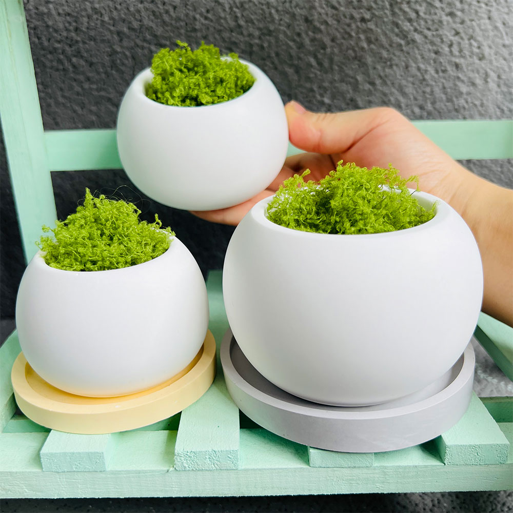 Sphärische Blumentopf Silikonf – Potsticker Mold Bewertung und Preis